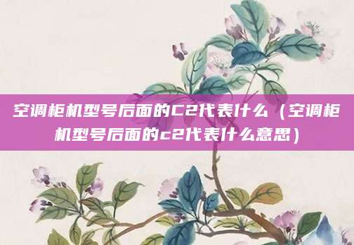 空调柜机型号后面的C2代表什么（空调柜机型号后面的c2代表什么意思）