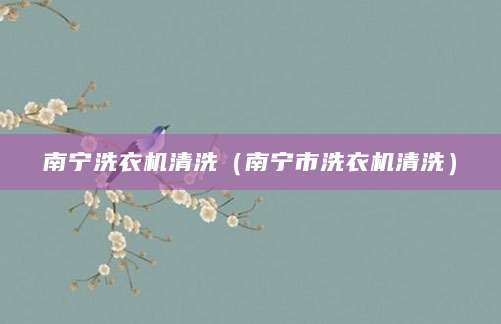 南宁洗衣机清洗（南宁市洗衣机清洗）
