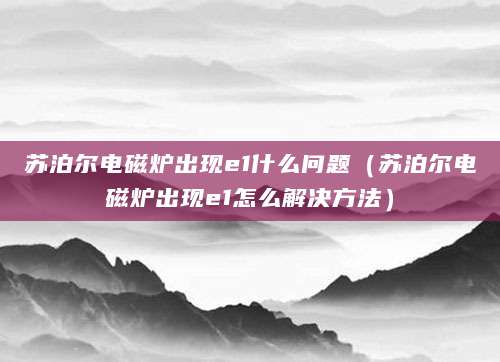 苏泊尔电磁炉出现e1什么问题（苏泊尔电磁炉出现e1怎么解决方法）