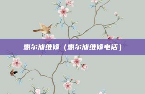 惠尔浦维修（惠尔浦维修电话）