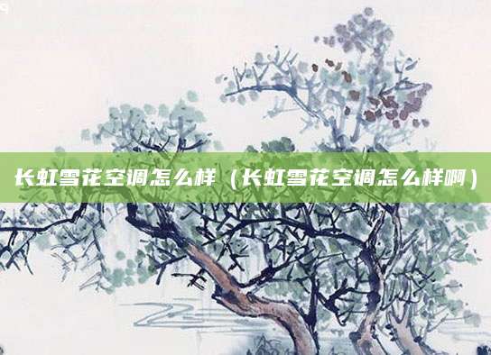 长虹雪花空调怎么样（长虹雪花空调怎么样啊）