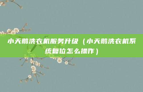 小天鹅洗衣机服务升级（小天鹅洗衣机系统复位怎么操作）