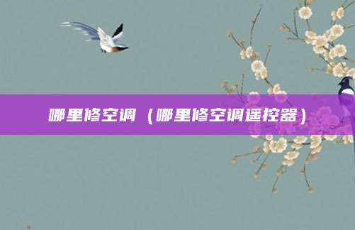 哪里修空调（哪里修空调遥控器）