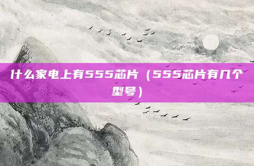 什么家电上有555芯片（555芯片有几个型号）