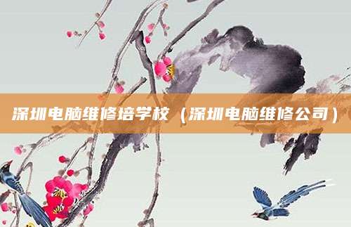 深圳电脑维修培学校（深圳电脑维修公司）
