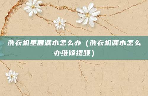 洗衣机里面漏水怎么办（洗衣机漏水怎么办维修视频）