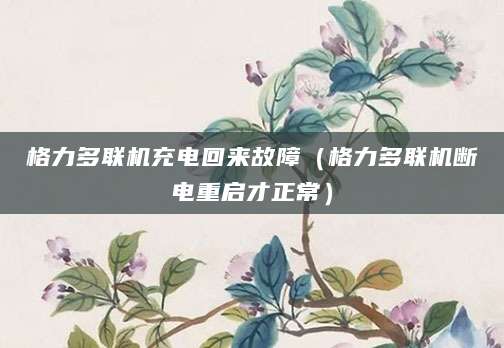 格力多联机充电回来故障（格力多联机断电重启才正常）