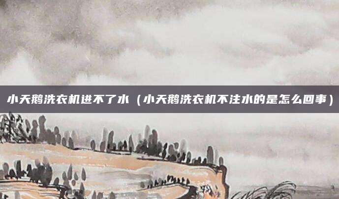 小天鹅洗衣机进不了水（小天鹅洗衣机不注水的是怎么回事）