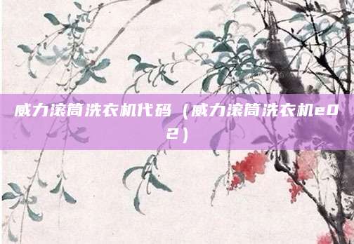 威力滚筒洗衣机代码（威力滚筒洗衣机e02）