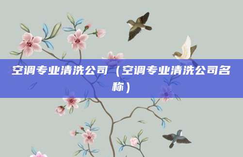 空调专业清洗公司（空调专业清洗公司名称）