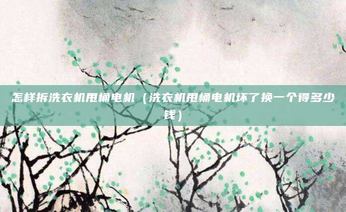 怎样拆洗衣机甩桶电机（洗衣机甩桶电机坏了换一个得多少钱）