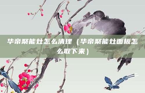 华帝聚能灶怎么清理（华帝聚能灶面板怎么取下来）