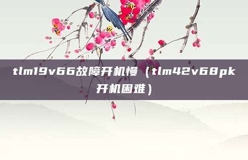 tlm19v66故障开机慢（tlm42v68pk开机困难）