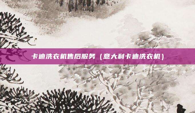 卡迪洗衣机售后服务（意大利卡迪洗衣机）