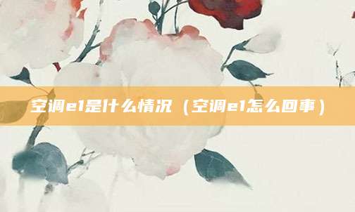 空调e1是什么情况（空调e1怎么回事）