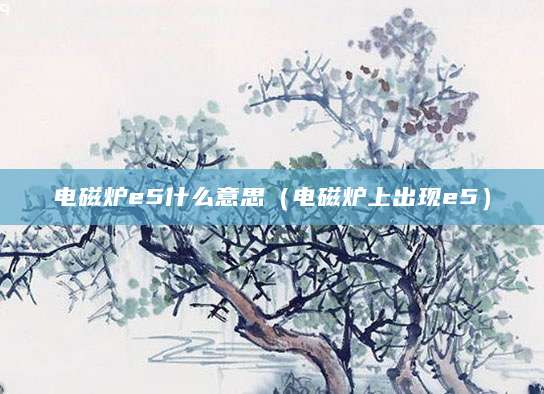 电磁炉e5什么意思（电磁炉上出现e5）