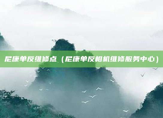 尼康单反维修点（尼康单反相机维修服务中心）