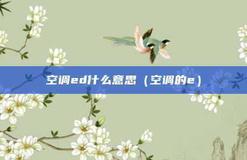 空调ed什么意思（空调的e）