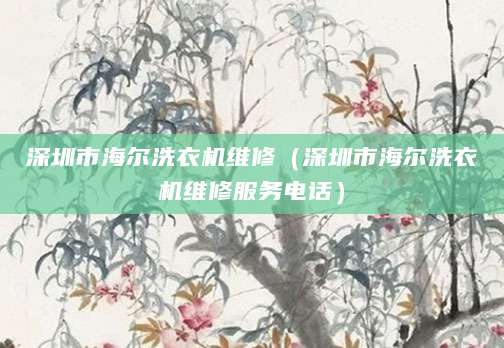 深圳市海尔洗衣机维修（深圳市海尔洗衣机维修服务电话）