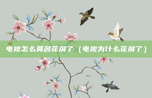 电视怎么莫名花屏了（电视为什么花屏了）