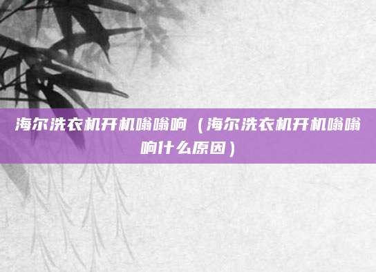海尔洗衣机开机嗡嗡响（海尔洗衣机开机嗡嗡响什么原因）
