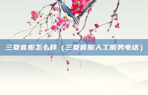 三菱客服怎么样（三菱客服人工服务电话）