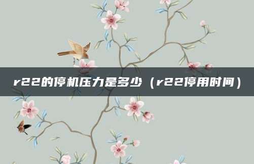 r22的停机压力是多少（r22停用时间）