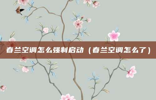 春兰空调怎么强制启动（春兰空调怎么了）
