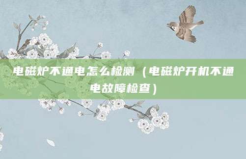 电磁炉不通电怎么检测（电磁炉开机不通电故障检查）
