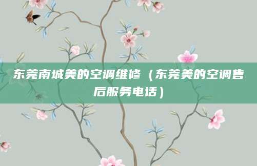 东莞南城美的空调维修（东莞美的空调售后服务电话）