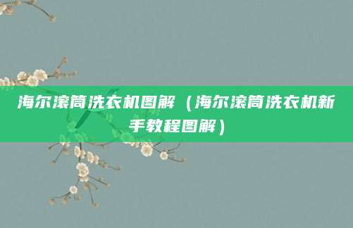 海尔滚筒洗衣机图解（海尔滚筒洗衣机新手教程图解）