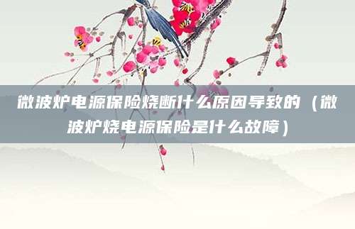 微波炉电源保险烧断什么原因导致的（微波炉烧电源保险是什么故障）