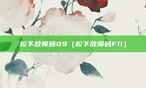 松下故障码09（松下故障码F11）