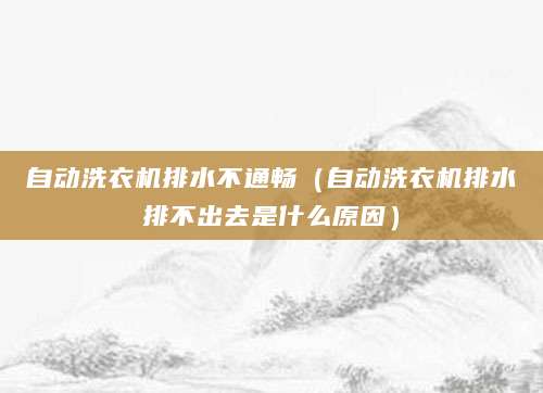 自动洗衣机排水不通畅（自动洗衣机排水排不出去是什么原因）