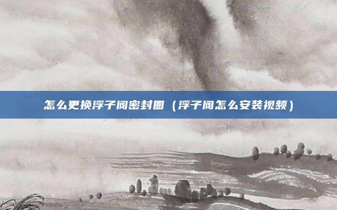 怎么更换浮子阀密封圈（浮子阀怎么安装视频）