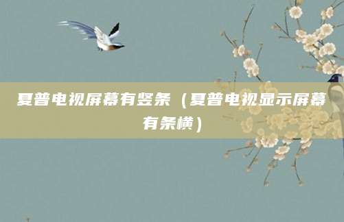 夏普电视屏幕有竖条（夏普电视显示屏幕有条横）