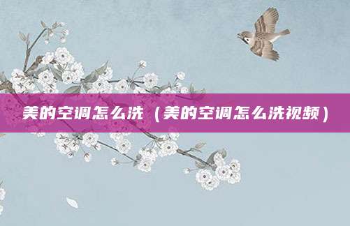 美的空调怎么洗（美的空调怎么洗视频）