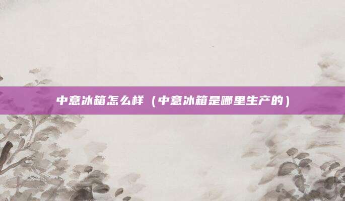 中意冰箱怎么样（中意冰箱是哪里生产的）