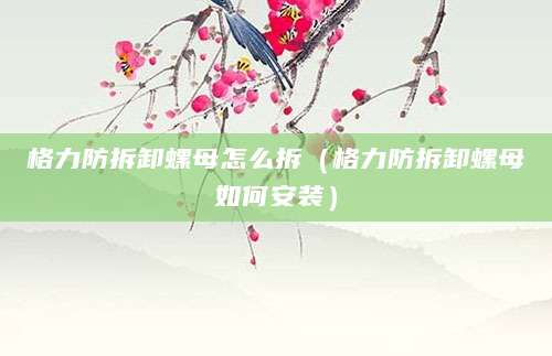 格力防拆卸螺母怎么拆（格力防拆卸螺母如何安装）