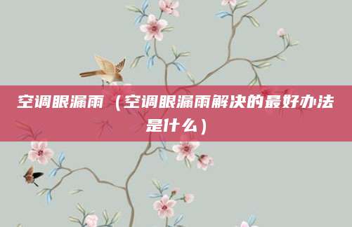 空调眼漏雨（空调眼漏雨解决的最好办法是什么）