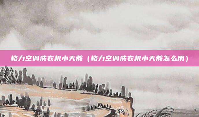 格力空调洗衣机小天鹅（格力空调洗衣机小天鹅怎么用）