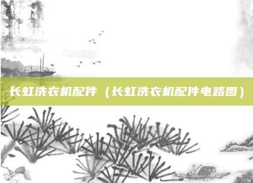 长虹洗衣机配件（长虹洗衣机配件电路图）