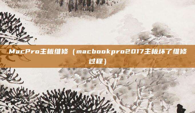 MacPro主板维修（macbookpro2017主板坏了维修过程）