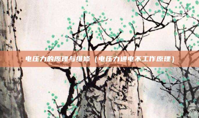 电压力的原理与维修（电压力通电不工作原理）