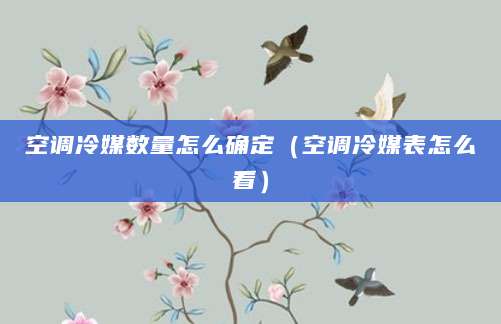 空调冷媒数量怎么确定（空调冷媒表怎么看）