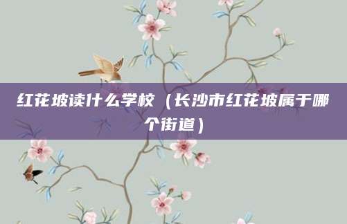 红花坡读什么学校（长沙市红花坡属于哪个街道）
