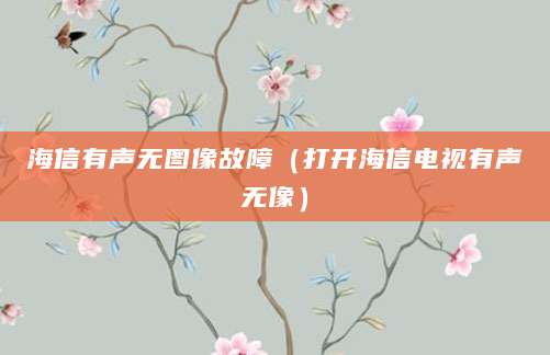 海信有声无图像故障（打开海信电视有声无像）