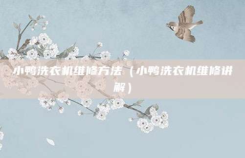 小鸭洗衣机维修方法（小鸭洗衣机维修讲解）