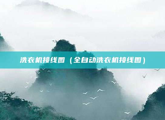 洗衣机接线图（全自动洗衣机接线图）