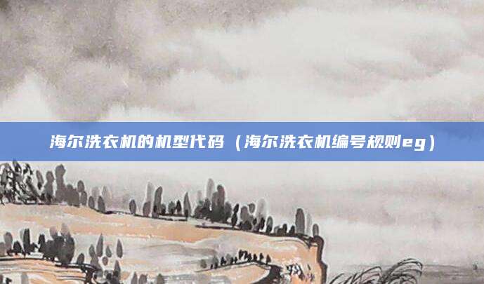 海尔洗衣机的机型代码（海尔洗衣机编号规则eg）